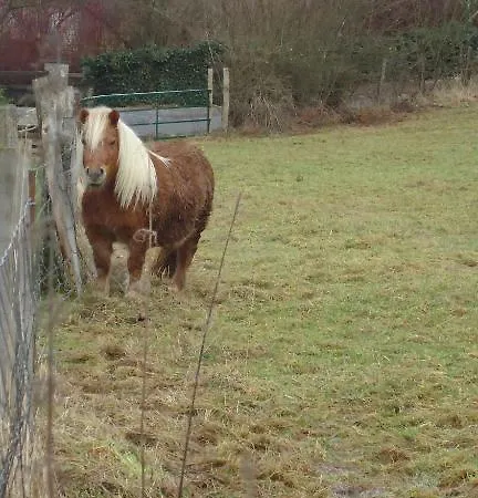 Bed and Breakfast Maison Pierreuse Jalhay