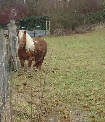Nocleg ze śniadaniem Maison Pierreuse Jalhay